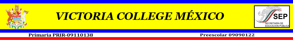 Banner Colegio Victoria College M&eacute;xico Tl&aacute;huac